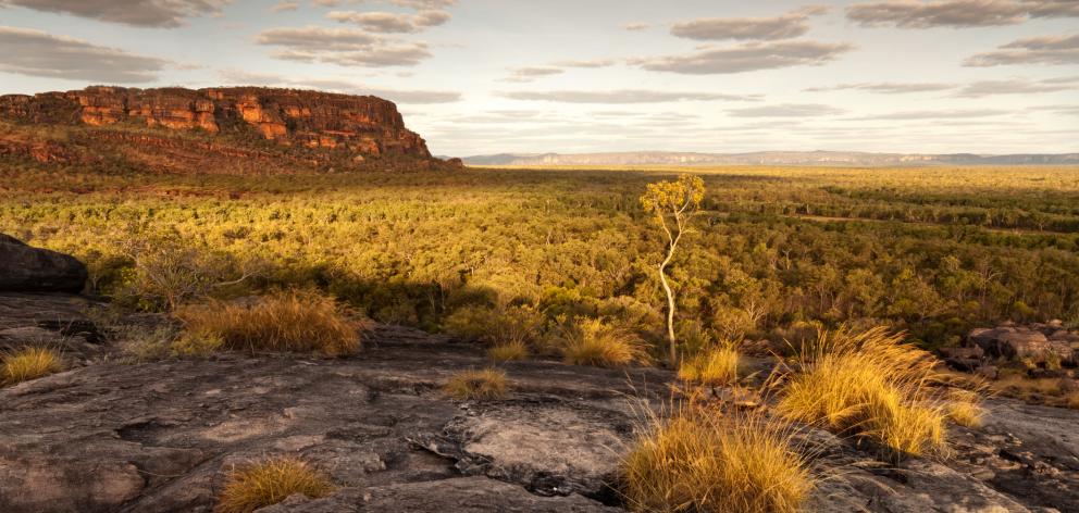 Panorama of Nourlangie badlands in Kakadu National Park. Photo: Getty Images