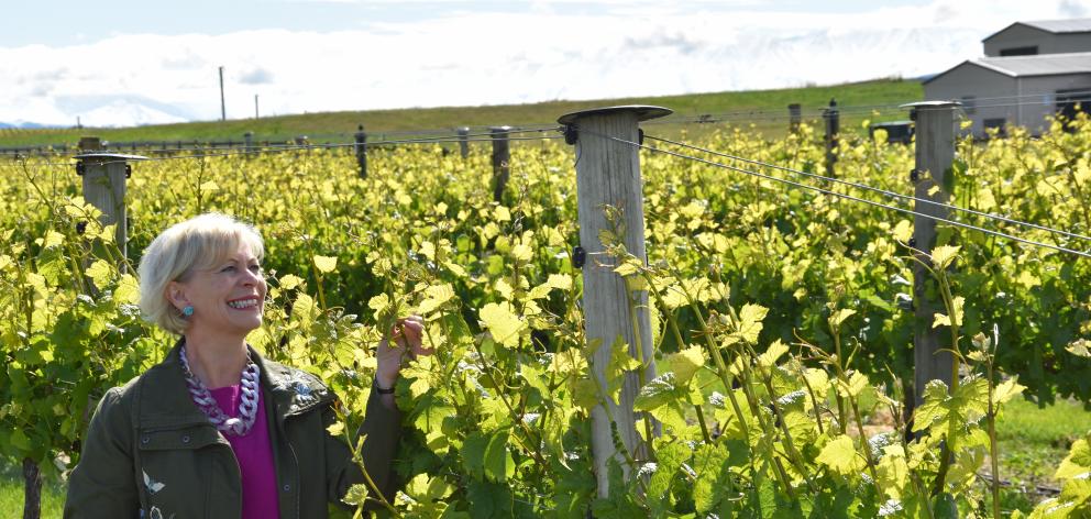 Janiene Bayliss, of Ata Mara vineyard, near Cromwell, is keen to see more school leavers made aware of the variety of careers available within the Central Otago wine industry. Photo: Supplied