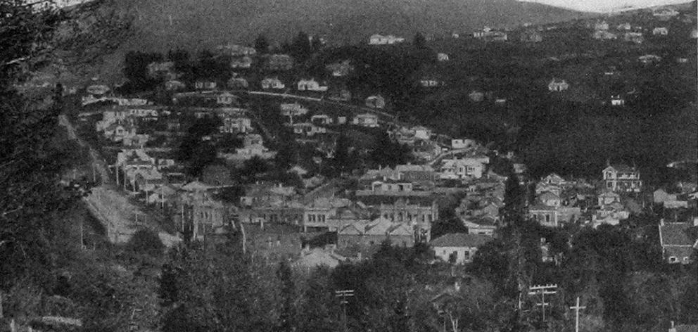 Dalmore and Gladstone, Dunedin, from the Botanic Gardens hill. — Otago Witness, 11.12.1918.