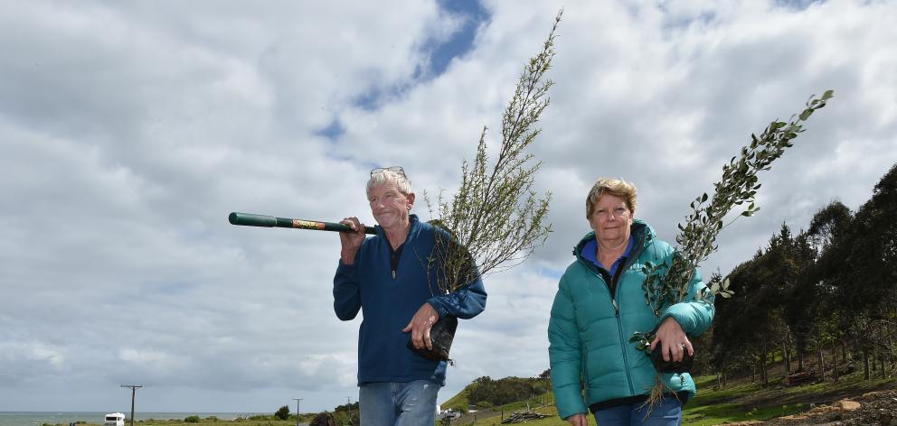 Kim and Diane Rapley say they cannot understand why someone would take more than 100 native plants from their Taieri Mouth Rd property in the dead of night. Photo: Gregor Richardson