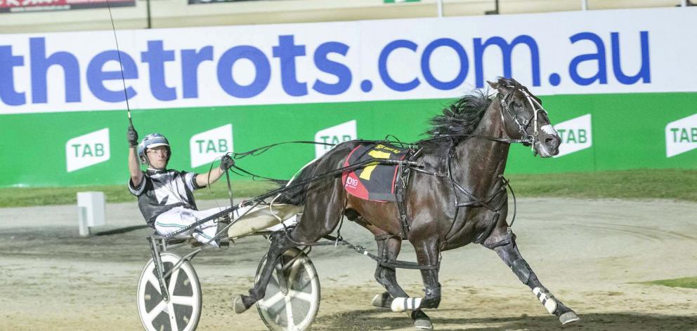 Driver Todd Final in Victoria with New Zealand-bred McCarthy holds the whip aloft after  winning...