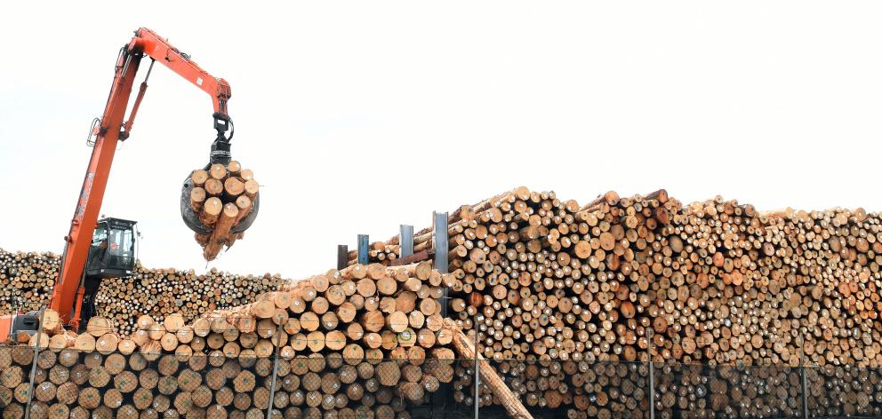Annual exports of logs, wood, and wood articles rose by $596million to $5.2billion, a 13% gain. Pictured, some of the record 1.06million tonnes of logs exported across Port Otago's wharves last financial year. Photo: Gerard O'Brien