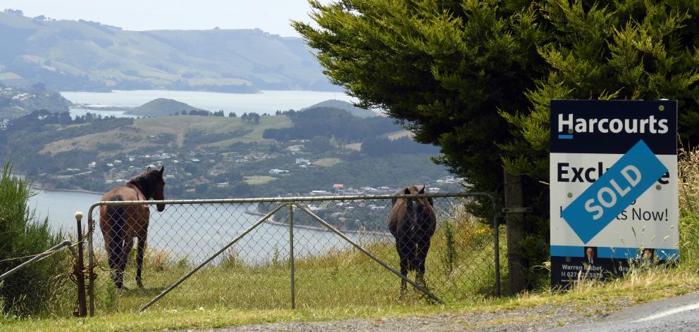 A Highcliff Rd property has sold, despite a rustic caution. Photo: Stephen Jaquiery