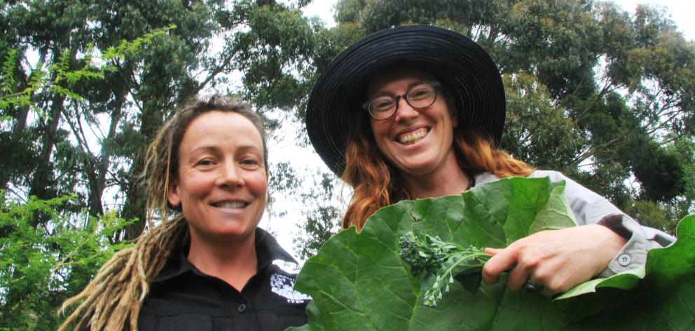 Nearly 40 50-year-old gum trees are set to be removed from the 18-month-old food forest at the...