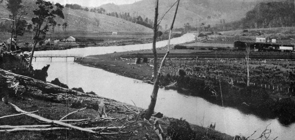 A picturesque bend on the Owaka River, Catlins District, Otago. — Otago Witness, 1.1.1919.