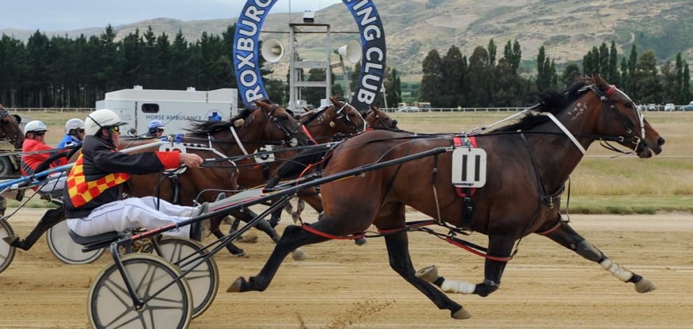 Queen Bee Bardon produced a big finish to take out the Roxburgh Cup yesterday. Photo: Wild Range...