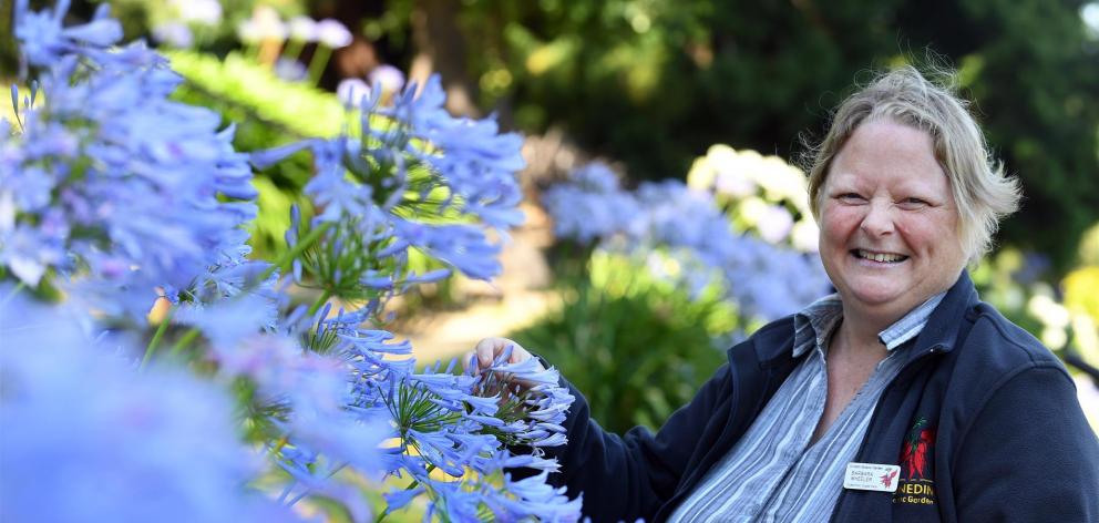 As one of just six horticulturists chosen from around the world, Dunedin Botanic Garden...