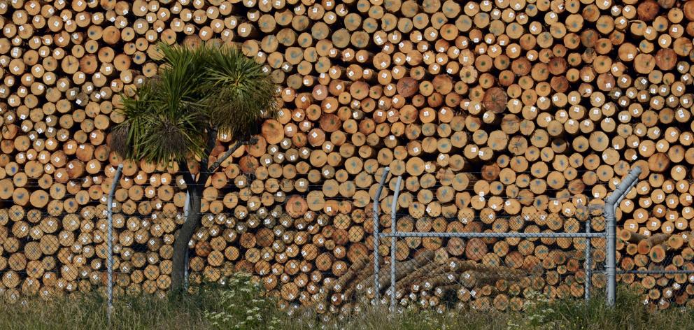 Exporters coming off record highs need to see there is diminishing demand for logs. Pictured,...