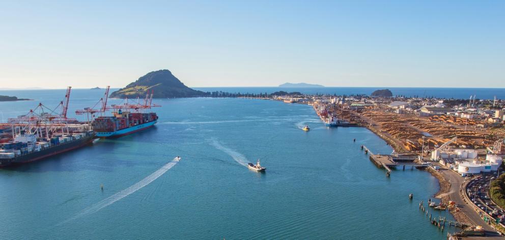 Total cargo volumes are up at Port of Tauranga, pictured, with a ninth crane ordered and 385m...