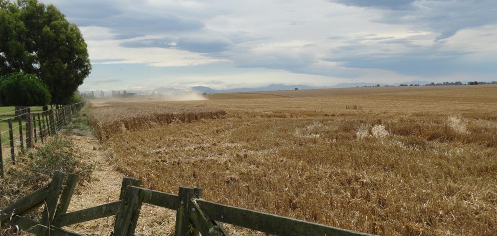 Harvesting weather has been great but yields have been variable. Photo: Chris Tobin