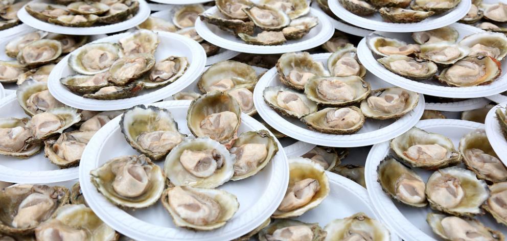 Oysters shown opened during the Bluff Oyster & Food Festival on May 26, 2018 in Bluff, New Zealand. Photo: Getty Images