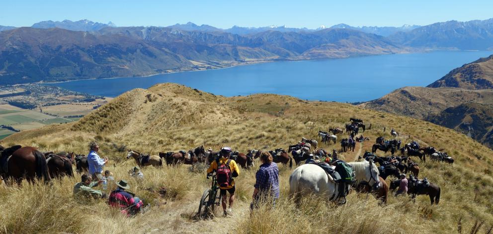 A bike rider threads through lunching horse-riders on the Grandview Doc track high above our destination, Hawea Flat. Photos: John Fridd