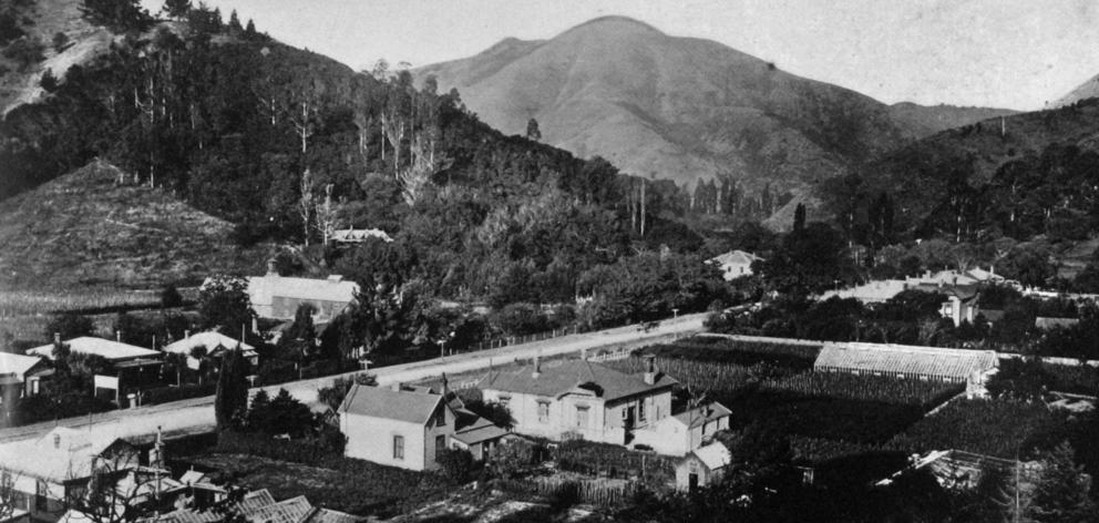 The Maitai Valley, Nelson. - Otago Witness, 19.3.1919. 
