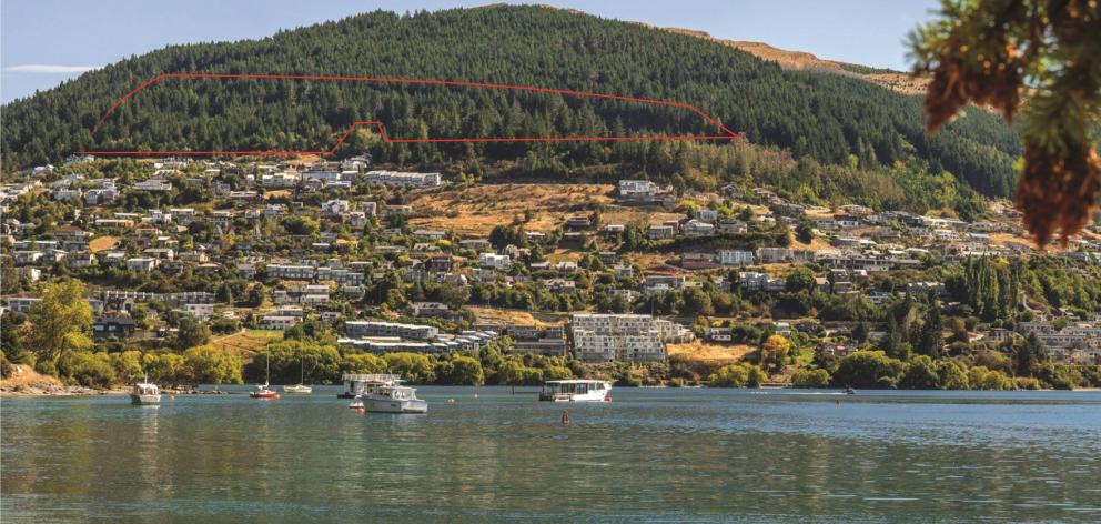 Queenstown Hill land that is being sold by international tender. Photo: Supplied