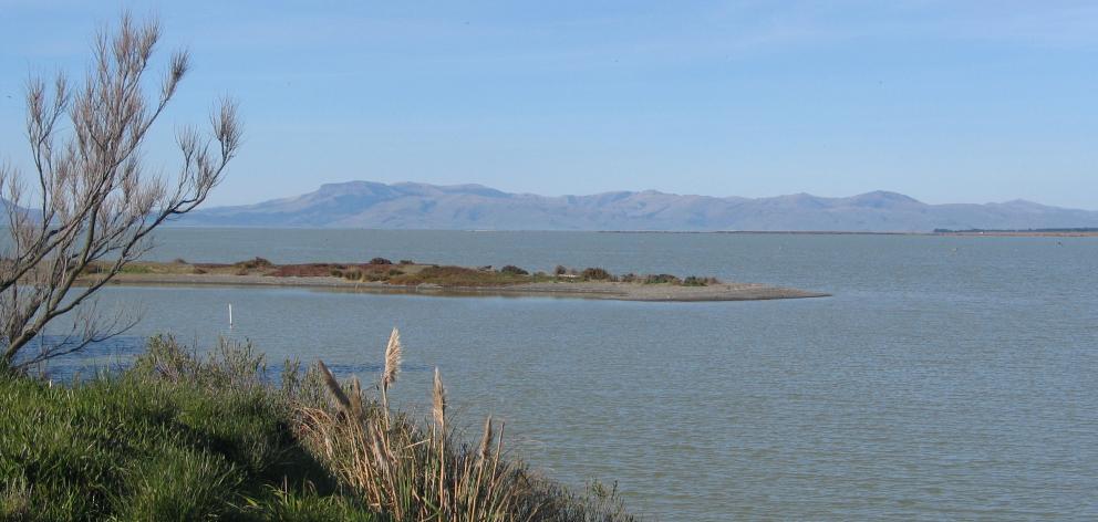 The Selwyn District Council is reviewing its biodiversity programmes as part of its District Plan Review. This picture shows Te Waihora/Lake Ellesmere, considered one of New Zealand's most polluted lakes. Photo: Environment Canterbury 