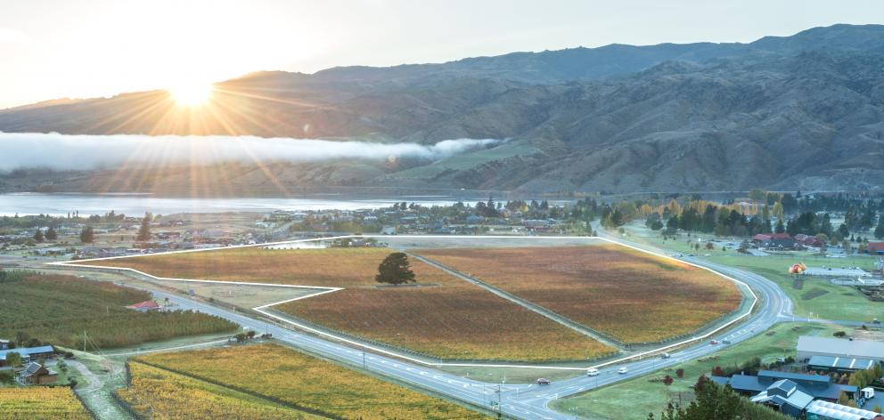 The Wooing Tree Vineyard property sits alongside Cromwell. A joint venture partner is now being...