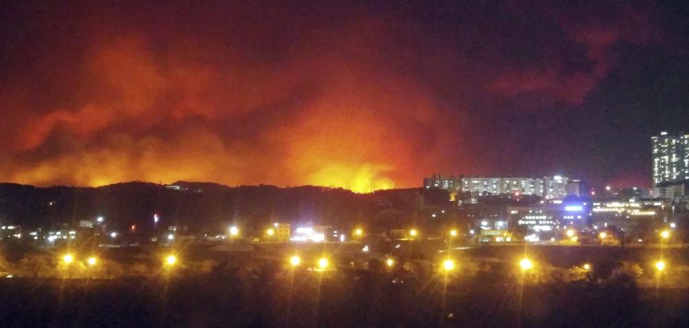 The fire burns near Goseong, South Korea. Photo: AP