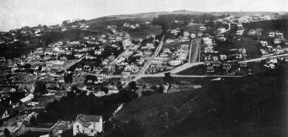 A section of Caversham - a suburb now amalgamated with Dunedin City. - Otago Witness, 30.4.1919 