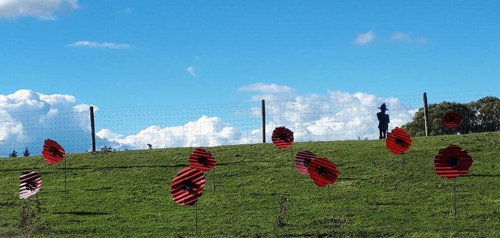 Richard Simpson will decorate one of his roadside paddocks at Chatto Creek with large poppy ornaments for Anzac Day. Photo: Richard Simpson