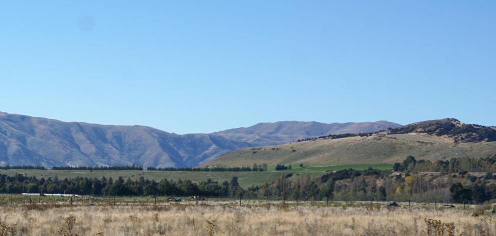 The Queenstown Lakes District Council has said  homes proposed to be built in this paddock near...