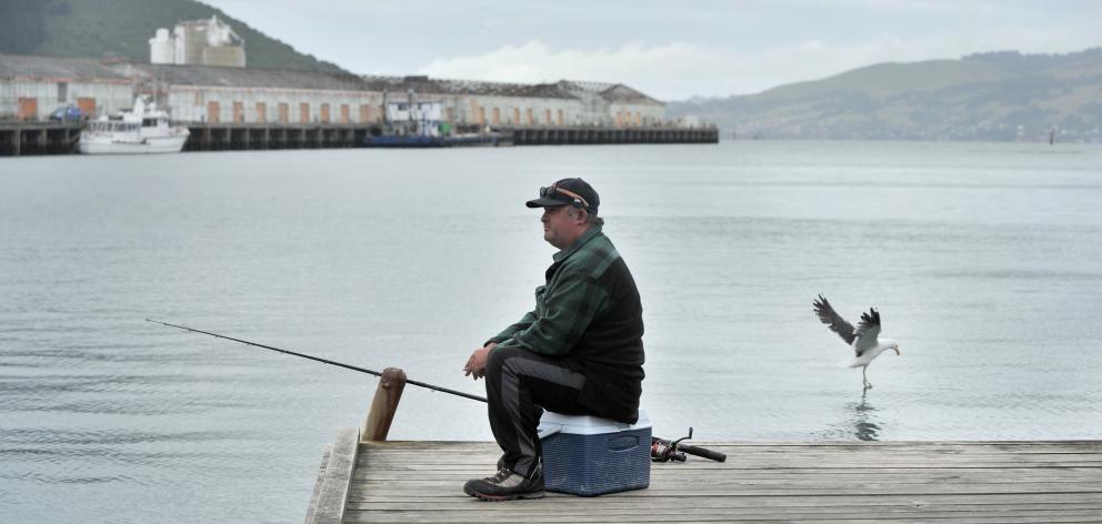 Anthony Racz, of Dunedin, tries his luck at fishing for salmon in the Otago Harbour Steamer Basin...