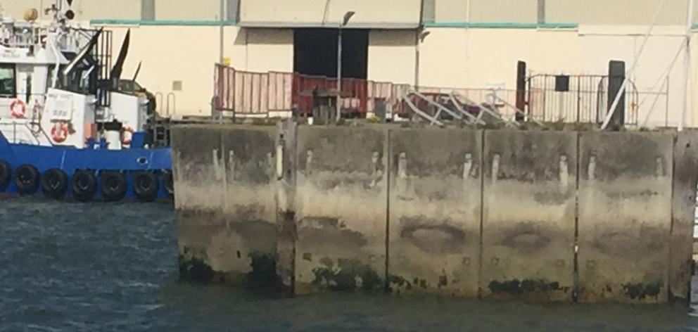 Damage dwharves in the upper harbour are something the public want repaired. PHOTO: HILARY CALVERT Damage dwharves in the upper harbour are something the public want repaired. PHOTO: HILARY CALVERT