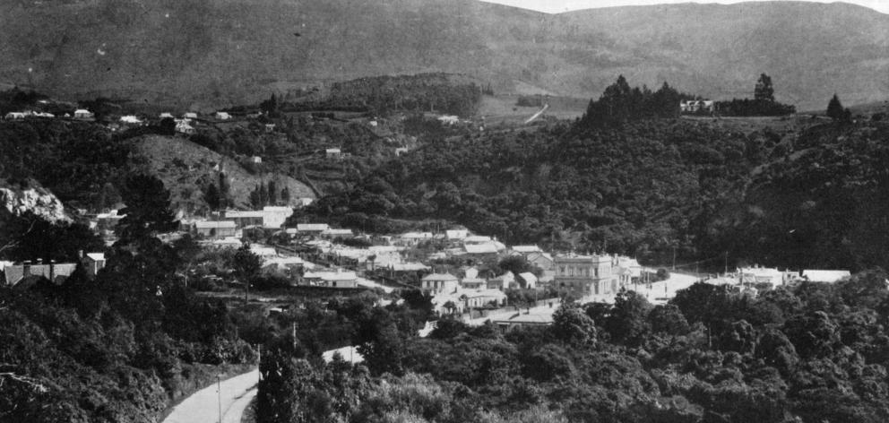 Woodhaugh, in the Leith Valley, Dunedin. - Otago Witness, 16.4.1919.