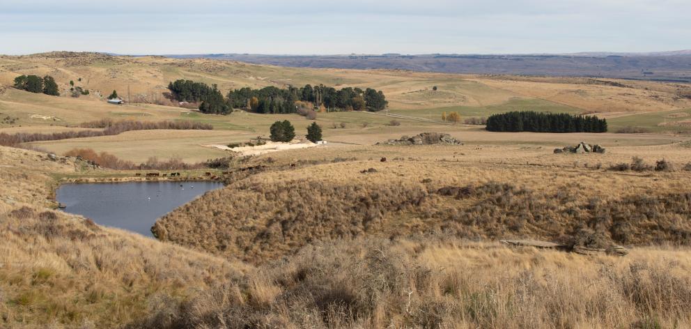 Looking out over Foulden Maar, near Middlemarch. PHOTO: KIMBERLEY COLLINS