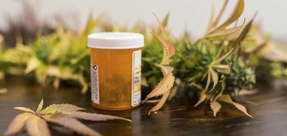 A pair of Otago academics have argued for cannabis-based medicines to be subject to the same...