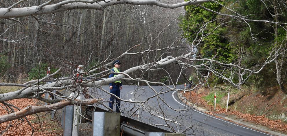 Police control traffic after a tree came down blocking one lane on Three Mile Hill in Dunedin on...