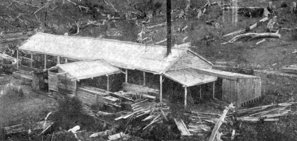 The sawmill at Jack’s Bush, one of several in the Waitati Valley. — Otago Witness, 25.6.1919  ...