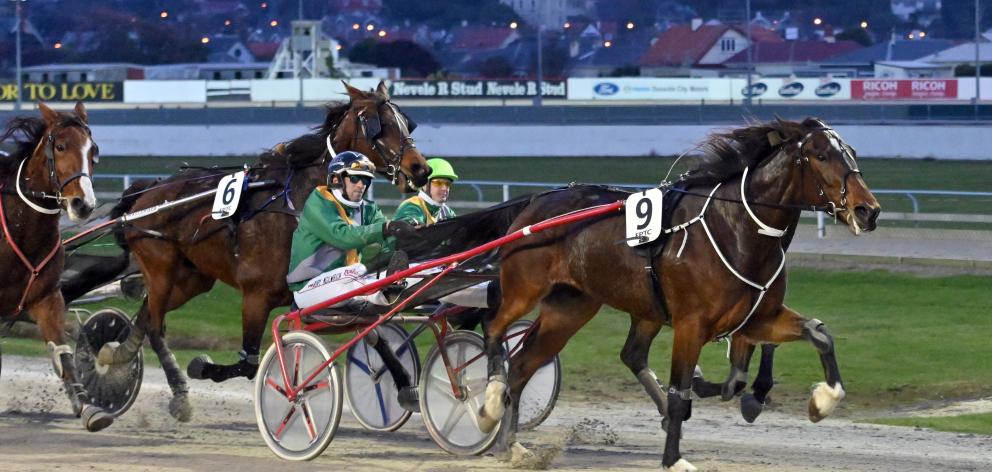 Levels trainer Donna Williamson scores her first race quinella at Forbury Park last night as...