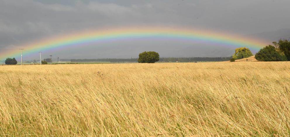 Agriculture and forestry are taking up some of the economic slack from an easing tourism sector...
