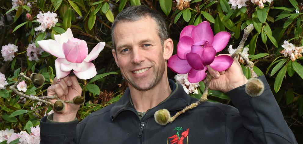 Dunedin Botanic Garden collections supervisor Dylan Norfield holds spectacular Magnolia...