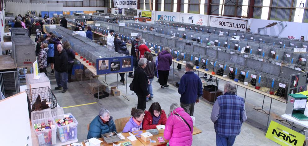 Enthusiasts view the birds on show.
