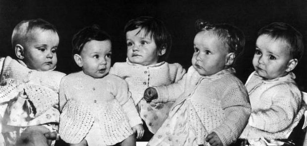 The Lawson quintuplets as babies, from left, Lisa, Samuel, Deborah, Shirlene, and Selina. Photo / File The Lawson quintuplets as babies, from left, Lisa, Samuel, Deborah, Shirlene, and Selina. Photo / File
