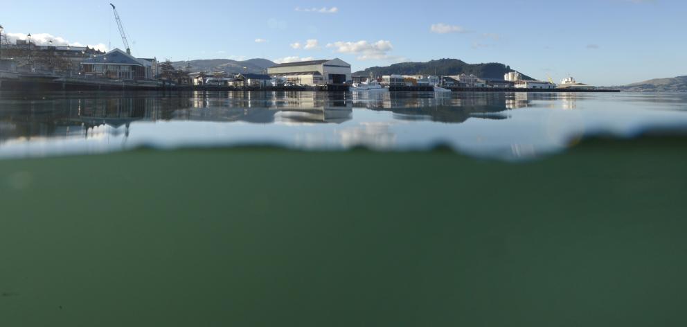 Steamer Basin. Photo: Gerard O'Brien 