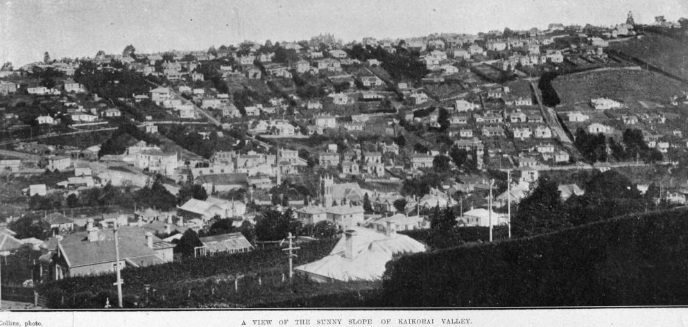 A view of the sunny slope of Kaikorai Valley. — Otago Witness, 20.8.1919. COPIES OF PICTURE...
