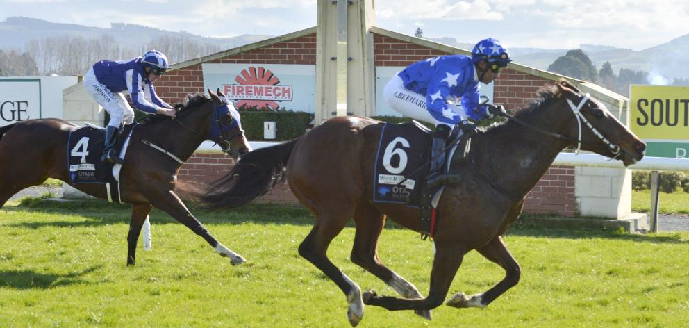 Bluey’s Chance wins race 1 from Miss Brahmos at Wingatui yesterday. PHOTO: GERARD O’BRIEN