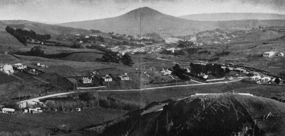 Panoramic view of Green Island from Lookout Point. - Otago Witness, 19.9.1919