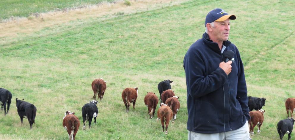 Gray Pannett, of Limehills Hereford Stud, pictured at a field day in 2017, will host visitors from the World Hereford Conference, which is being held in Queenstown next March.  Photo: Yvonne O'Hara