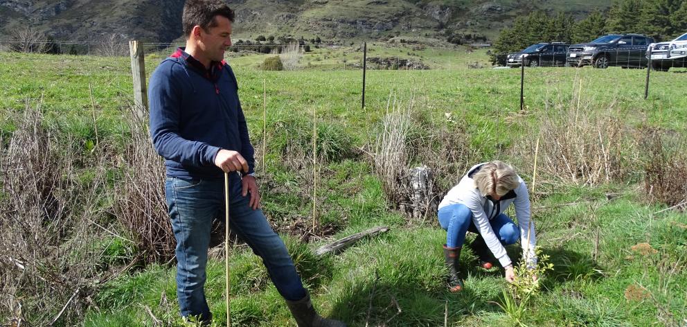 Alpha Burn owners Duncan and Allannah McRae finding time to plant natives beside Alpha Burn creek on their 24/7 beef, lamb and deer high country station. Photo: Kerrie Waterworth Alpha Burn owners Duncan and Allannah McRae finding time to plant natives beside Alpha Burn creek on their 24/7 beef, lamb and deer high country station. Photo: Kerrie Waterworth