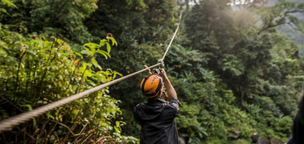 Man on zip wire in forest. Photo: Getty Images