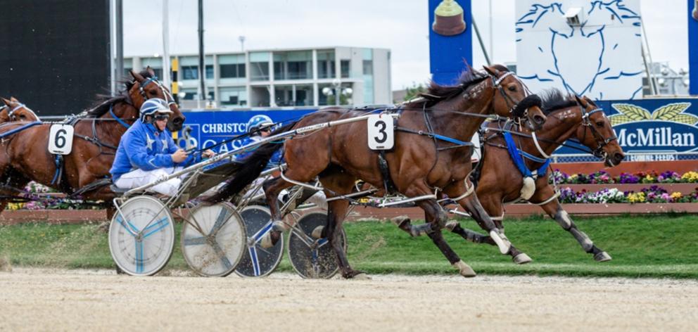 Spankem (outer) and driver Mark Purdon win the New Zealand Cup Trial at Addington Raceway yesterday over stablemate Thefixer and Natalie Rasmussen (inner), with A G's White Socks third. Photo: The Digital Birdcage