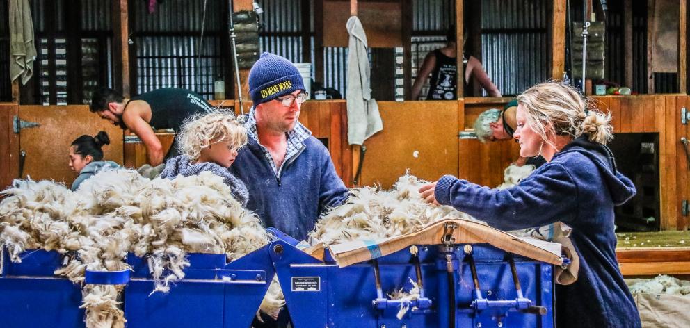 Murray and Julie Hellewell and daughter McKenna (2) inspect their farm’s Perendale lamb fleece that is used for the couple’s West Ridge jersey venture. Photo: Paula Williams