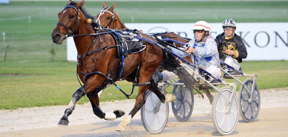 A G’s White Socks will attempt a clean sweep of heats of the Interdominion Pacing Championship at...