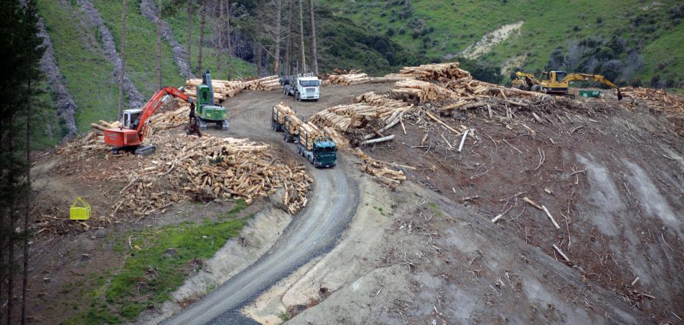 A logging ‘‘factory’’ in full swing at Ferny Hill. PHOTOS: BRENT MELVILLE