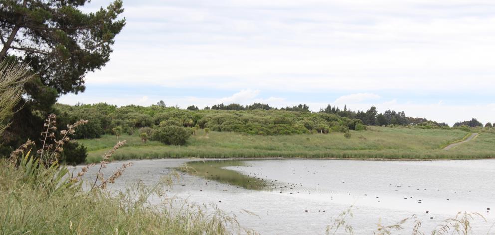 New River Estuary locals have concerns about chemical and bacterial contamination at the site of...