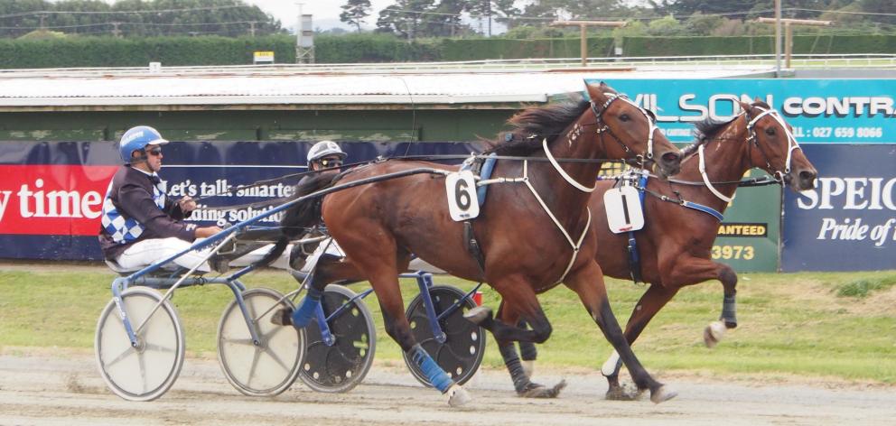 Majestic Man (foreground) in action at Ascot Park earlier this year. Photo: Bruce Stewart