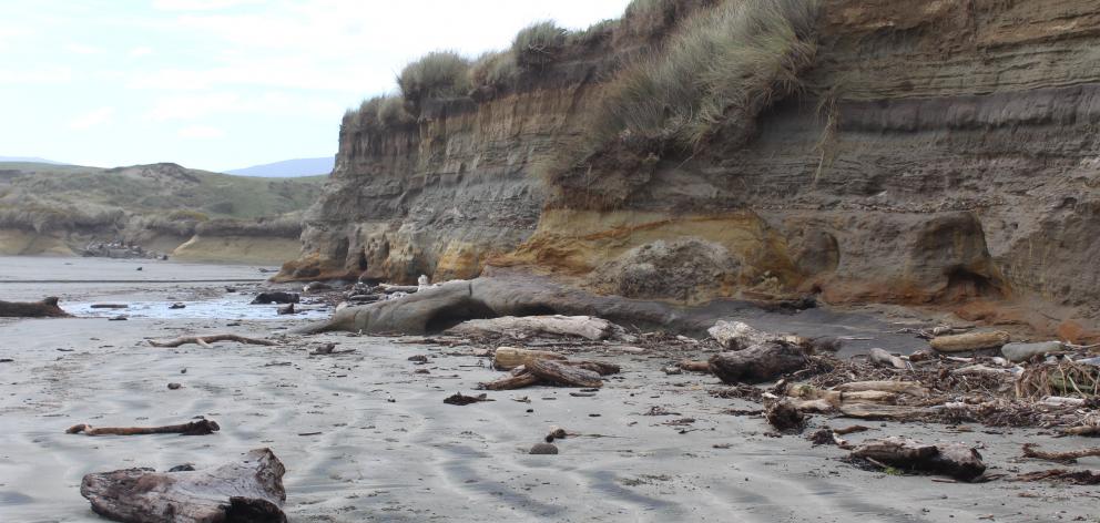 Coastal erosion in Southland is highlighted at several beaches — rising sea levels and increasing...